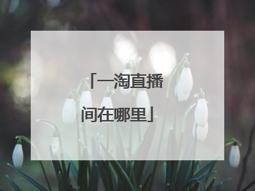 一淘直播间在哪里