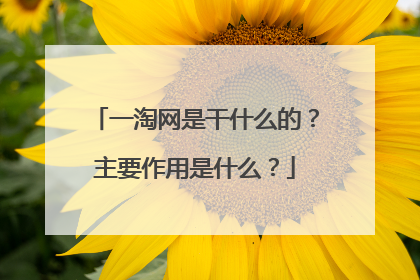 一淘网是干什么的?主要作用是什么?