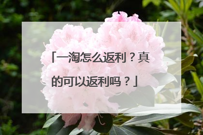 一淘怎么返利?真的可以返利吗?