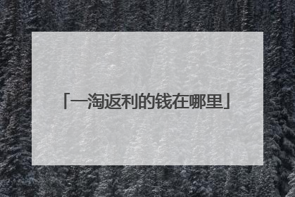 一淘返利的钱在哪里