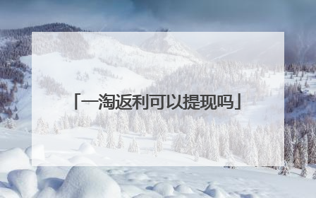 一淘返利可以提现吗