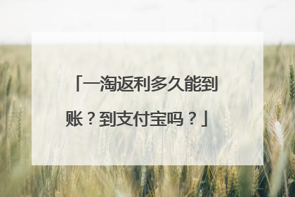 一淘返利多久能到账？到支付宝吗？