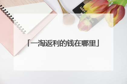 一淘返利的钱在哪里