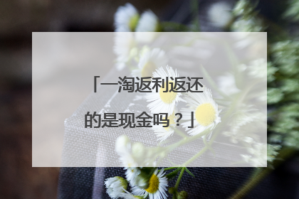 一淘返利返还的是现金吗?