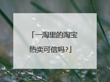 一淘里的淘宝热卖可信吗?