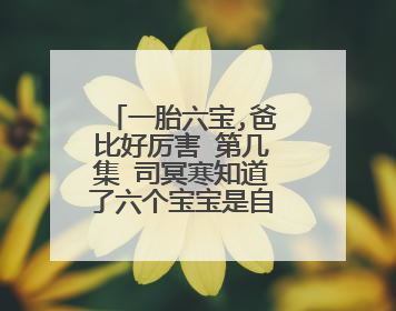 一胎六宝,爸比好厉害 第几集 司冥寒知道了六个宝宝是自己的儿子?