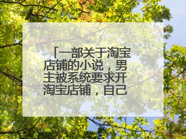 一部关于淘宝店铺的小说，男主被系统要求开淘宝店铺，自己制作物品售
