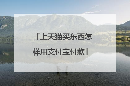 上天猫买东西怎样用支付宝付款