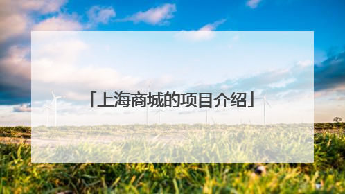 上海商城的项目介绍
