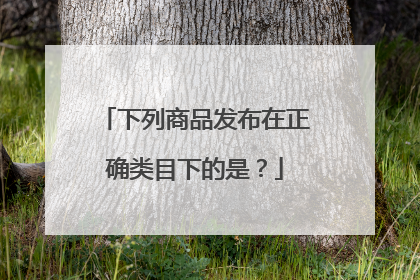 下列商品发布在正确类目下的是？