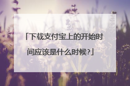 下载支付宝上的开始时间应该是什么时候?