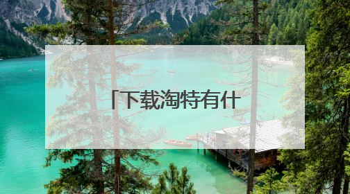 下载淘特有什么危害可从用微信支付吗?