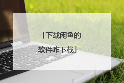 下载闲鱼的软件咋下载