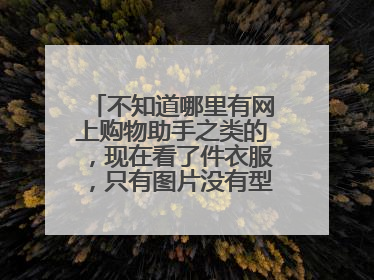 不知道哪里有网上购物助手之类的，现在看了件衣服，只有图片没有型号怎么找？