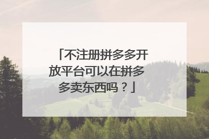 不注册拼多多开放平台可以在拼多多卖东西吗?