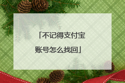 不记得支付宝账号怎么找回