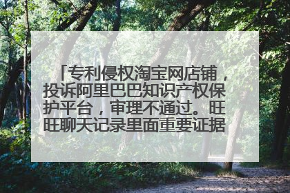 专利侵权淘宝网店铺,投诉阿里巴巴知识产权保护平台,审理不通过。旺旺聊天记录里面重要证据没有了,怎弄