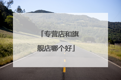 专营店和旗舰店哪个好
