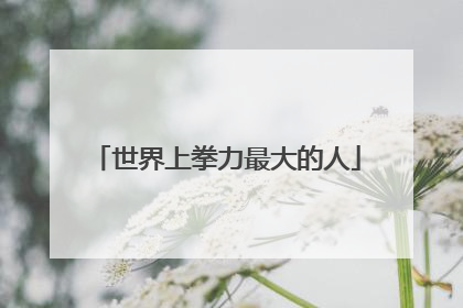 世界上拳力最大的人