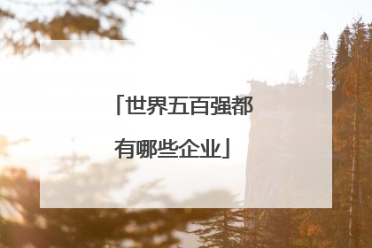 世界五百强都有哪些企业