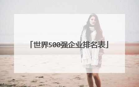世界500强企业排名表