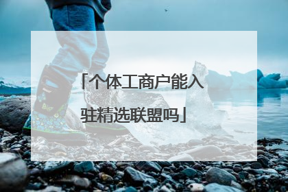 个体工商户能入驻精选联盟吗