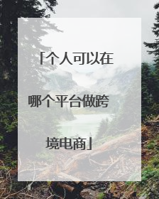 个人可以在哪个平台做跨境电商
