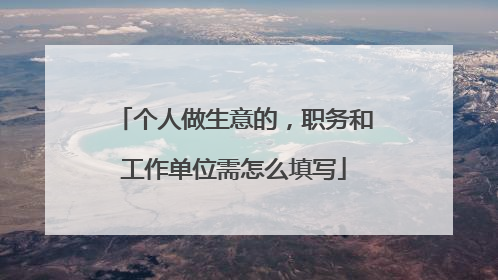 个人做生意的，职务和工作单位需怎么填写