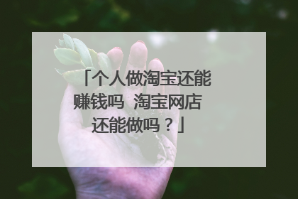 个人做淘宝还能赚钱吗 淘宝网店还能做吗?
