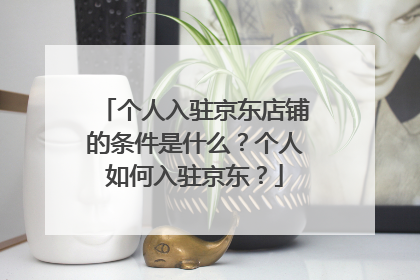 个人入驻京东店铺的条件是什么？个人如何入驻京东？