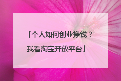 个人如何创业挣钱？我看淘宝开放平台