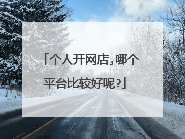 个人开网店,哪个平台比较好呢?