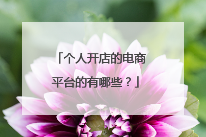 个人开店的电商平台的有哪些?