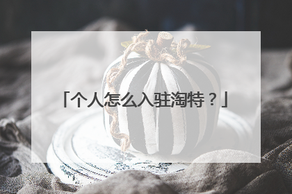个人怎么入驻淘特?