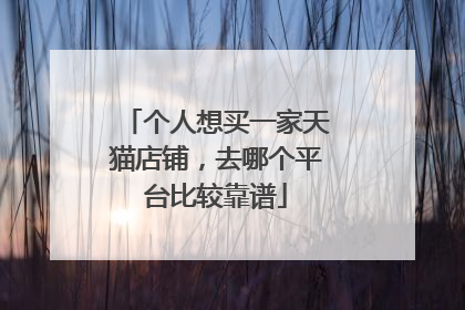 个人想买一家天猫店铺，去哪个平台比较靠谱