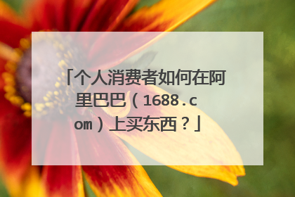 个人消费者如何在阿里巴巴(1688.com)上买东西?