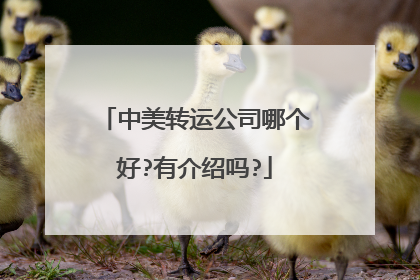 中美转运公司哪个好?有介绍吗?