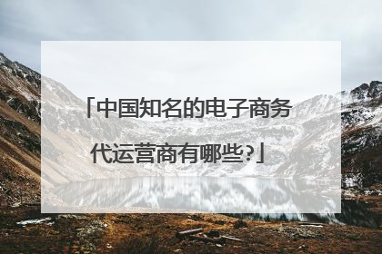 中国知名的电子商务代运营商有哪些?