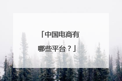 中国电商有哪些平台？