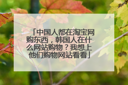 中国人都在淘宝网购东西，韩国人在什么网站购物？我想上他们购物网站看看