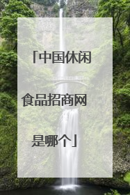 中国休闲食品招商网是哪个