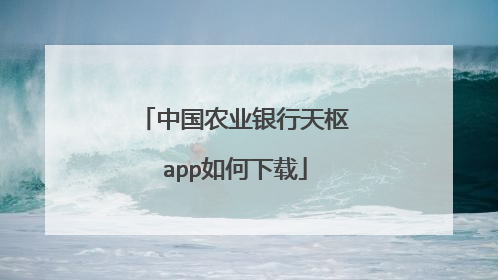 中国农业银行天枢app如何下载