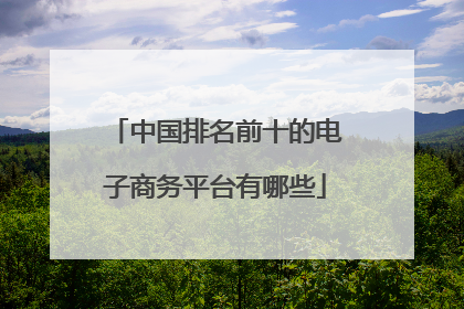中国排名前十的电子商务平台有哪些