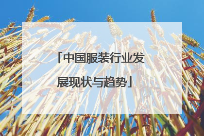 中国服装行业发展现状与趋势