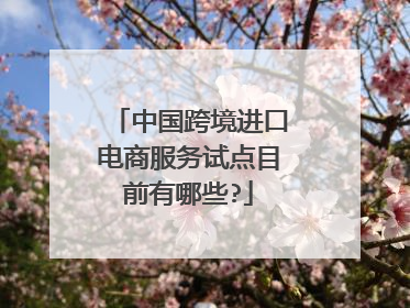 中国跨境进口电商服务试点目前有哪些?