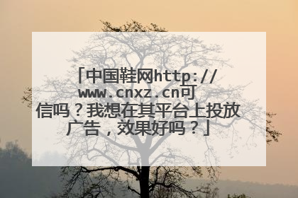 中国鞋网http://www.cnxz.cn可信吗?我想在其平台上投放广告,效果好吗?