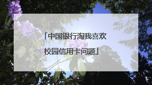 中国银行淘我喜欢校园信用卡问题