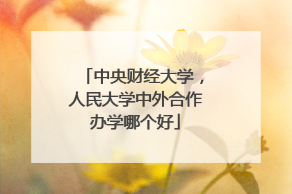 中央财经大学,人民大学中外合作办学哪个好