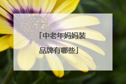 中老年妈妈装品牌有哪些