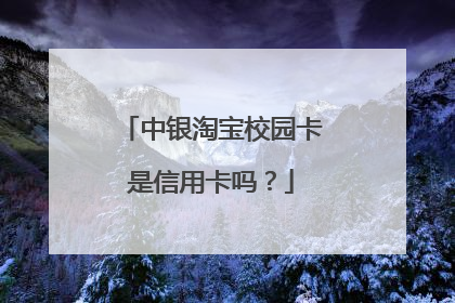 中银淘宝校园卡是信用卡吗？